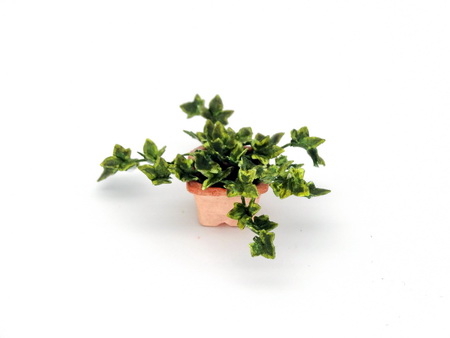 Handmade 1/12th/ 1 inch scale dollshouse English Ivy (image for) Handmade 1/12th/ 1 inch scale dollshouse English Ivy
